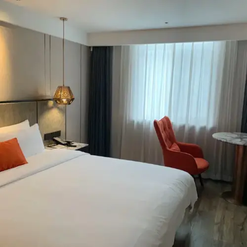 Business Double Bed Room (Mobile Screen Casting + Minibar)