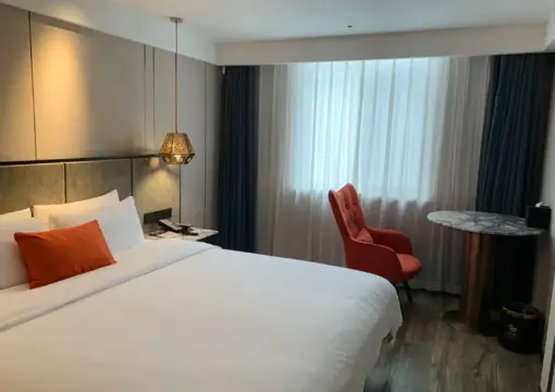 Business Double Bed Room (Mobile Screen Casting + Minibar)