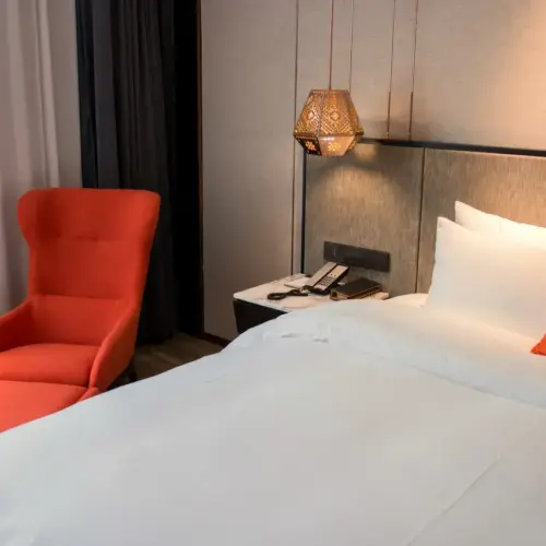 Business Double Bed Room (Mobile Screen Casting + Minibar)