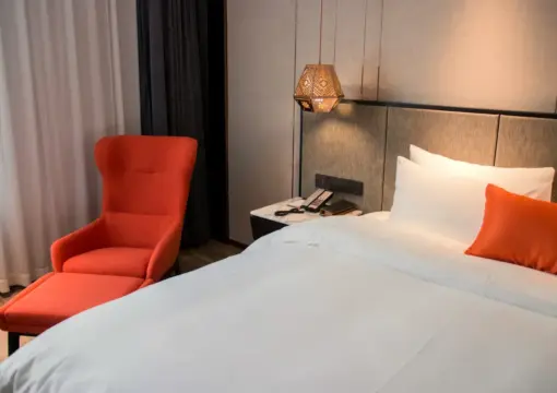 Business Double Bed Room (Mobile Screen Casting + Minibar)