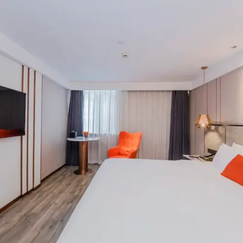 Business Double Bed Room (Mobile Screen Casting + Minibar)
