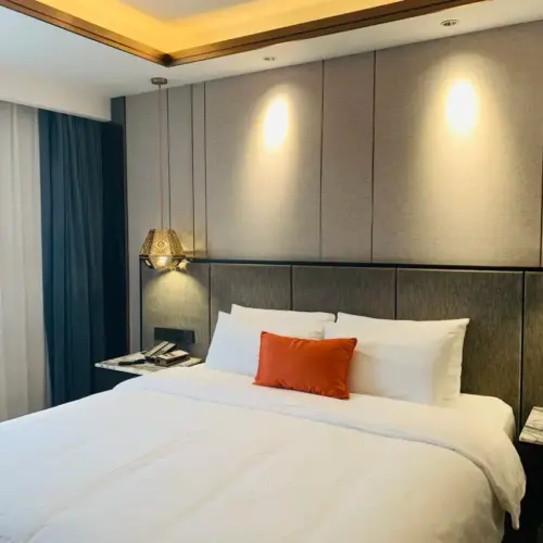 Business Double Bed Room (Mobile Screen Casting + Minibar)