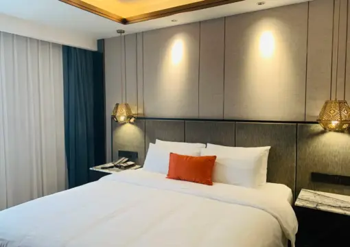 Business Double Bed Room (Mobile Screen Casting + Minibar)