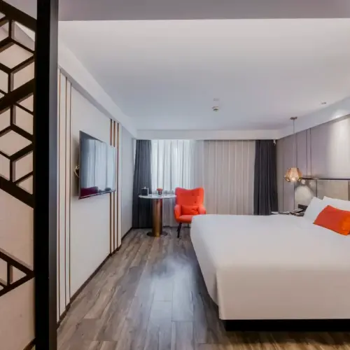 Business Double Bed Room (Mobile Screen Casting + Minibar)