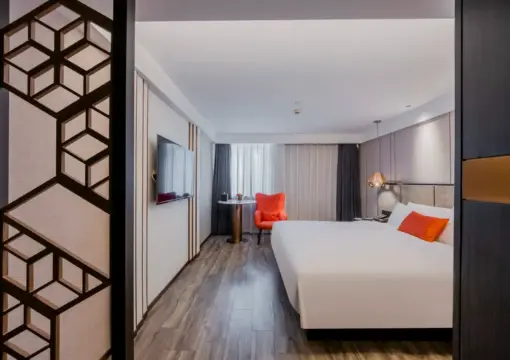 Business Double Bed Room (Mobile Screen Casting + Minibar)